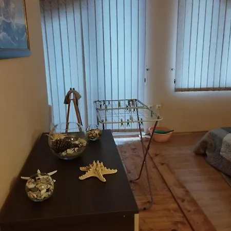 Renta Bg In Apartment