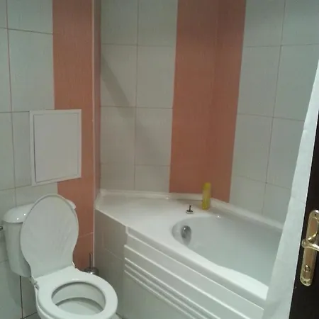 Renta Bg In Apartment *